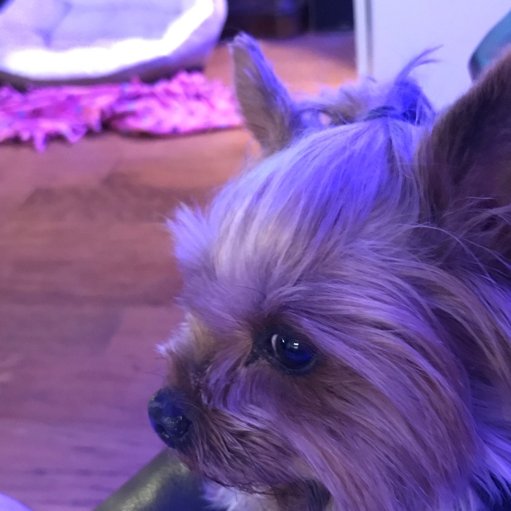 Meet your Posher, Debra